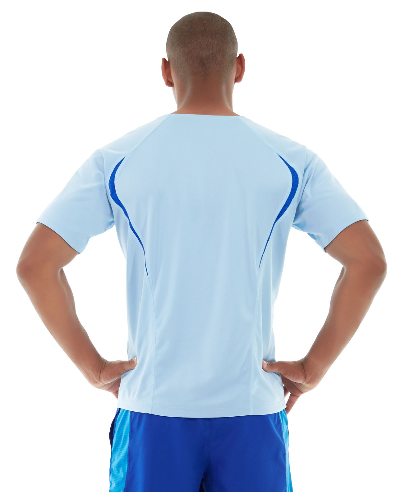 ms06-blue_back.jpg